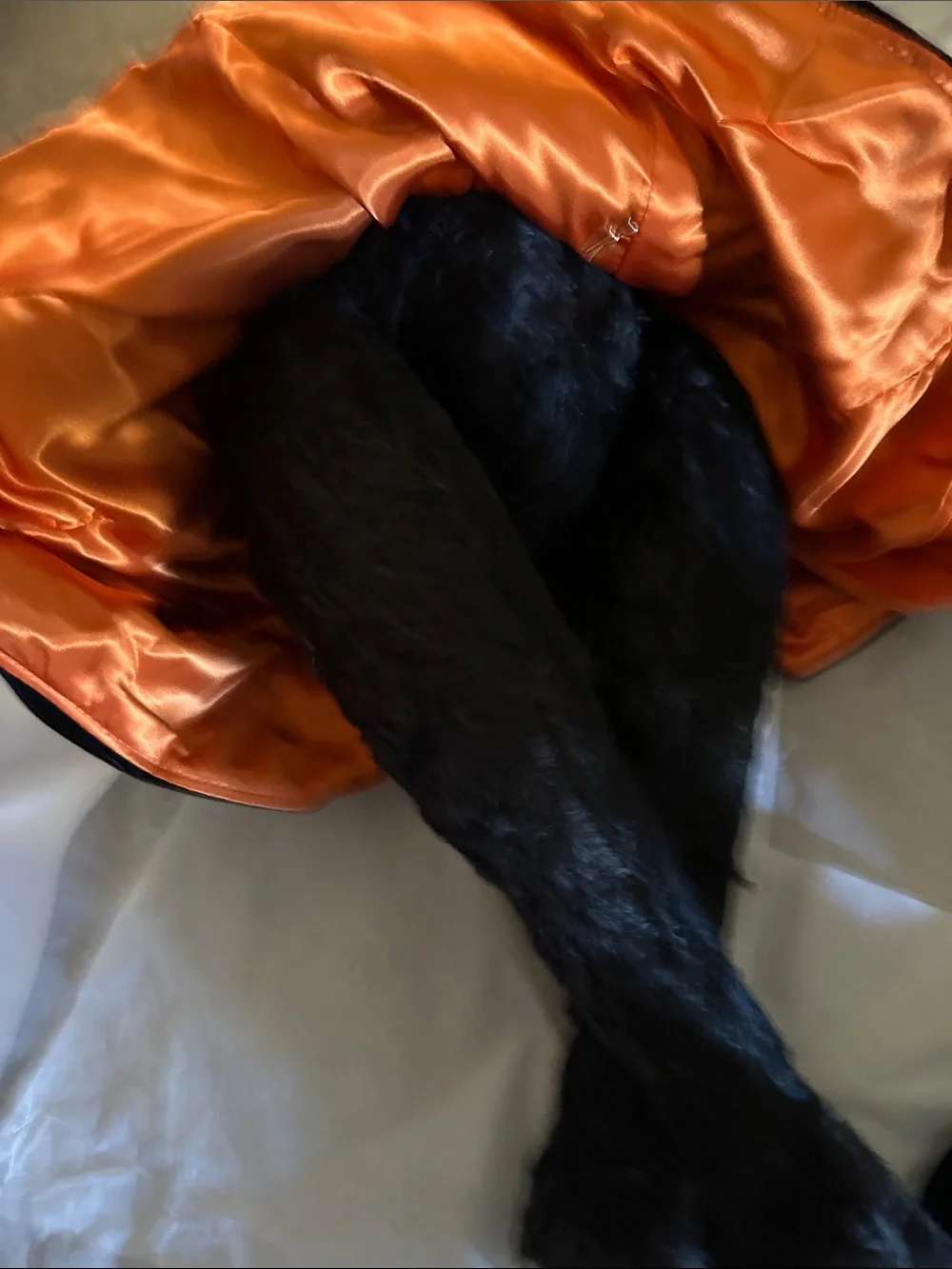 Bunnies By The Bay 1994 Witch Hazel Halloween Black Cat Plush 178 400